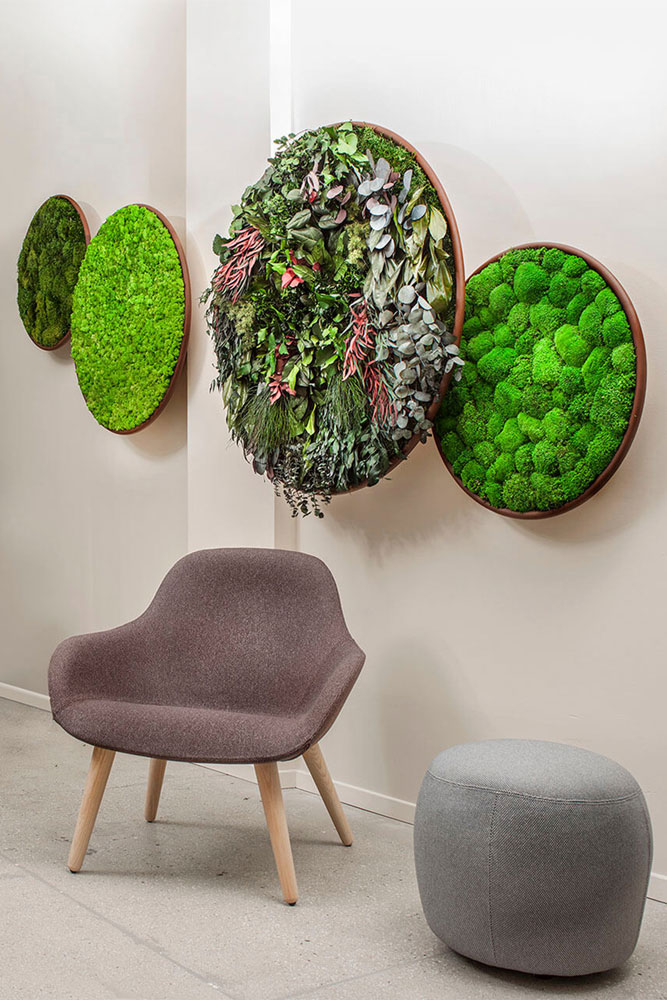 G-Circles by Greenmood