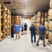 NBS_MSBO_2025_20251005_200416