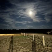 NBS_MSBO_2025_IMG_5500