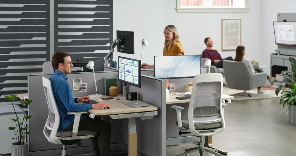 NBS AMQ Snap Catalog